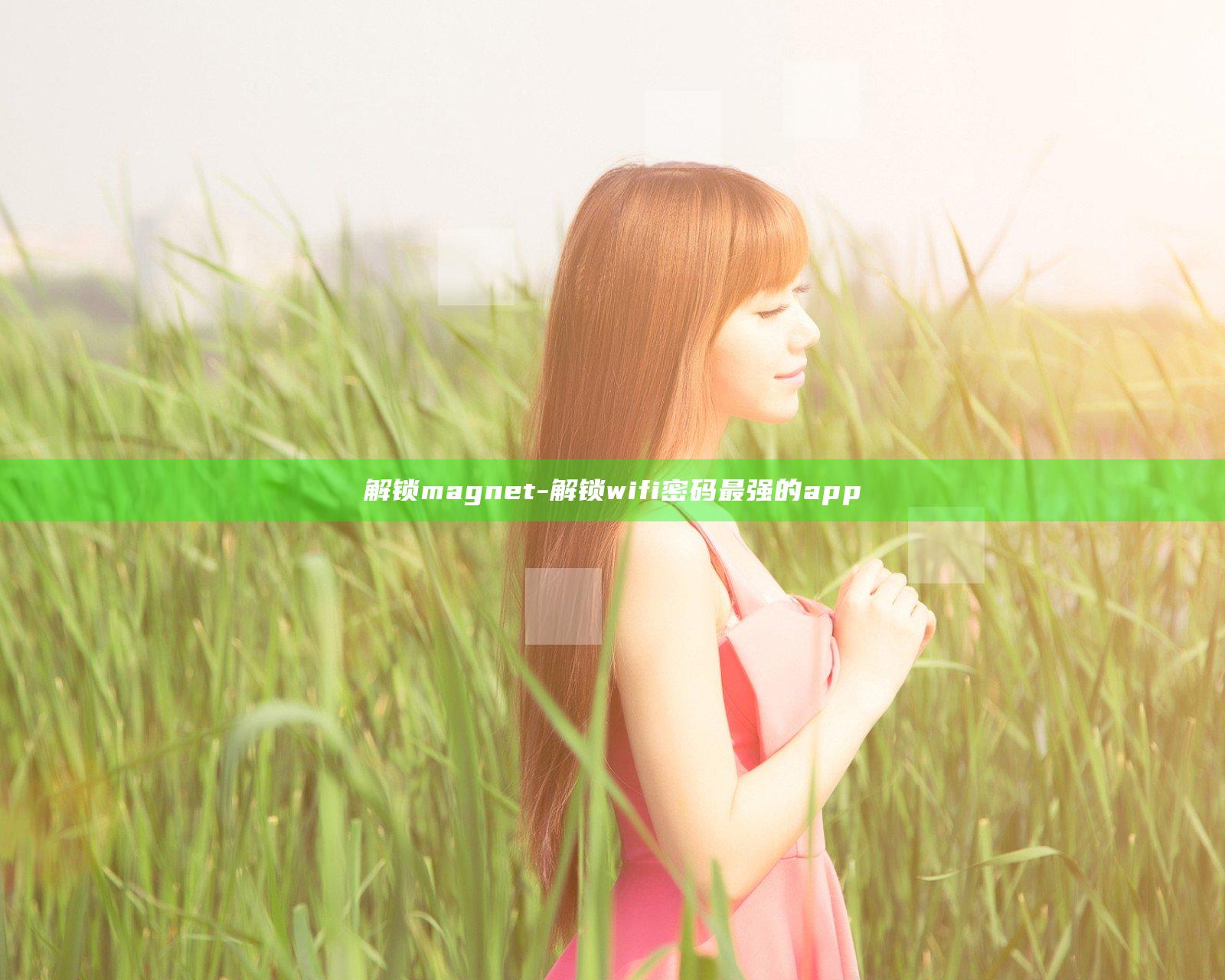 解锁 magnet-解锁wifi密码最强的app