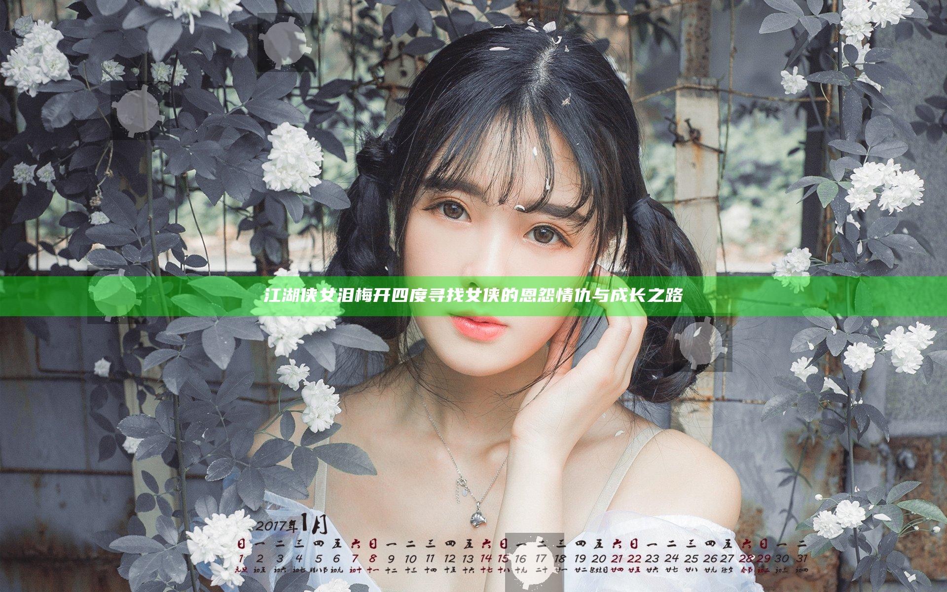 江湖侠女泪 梅开四度 寻找女侠的恩怨情仇与成长之路