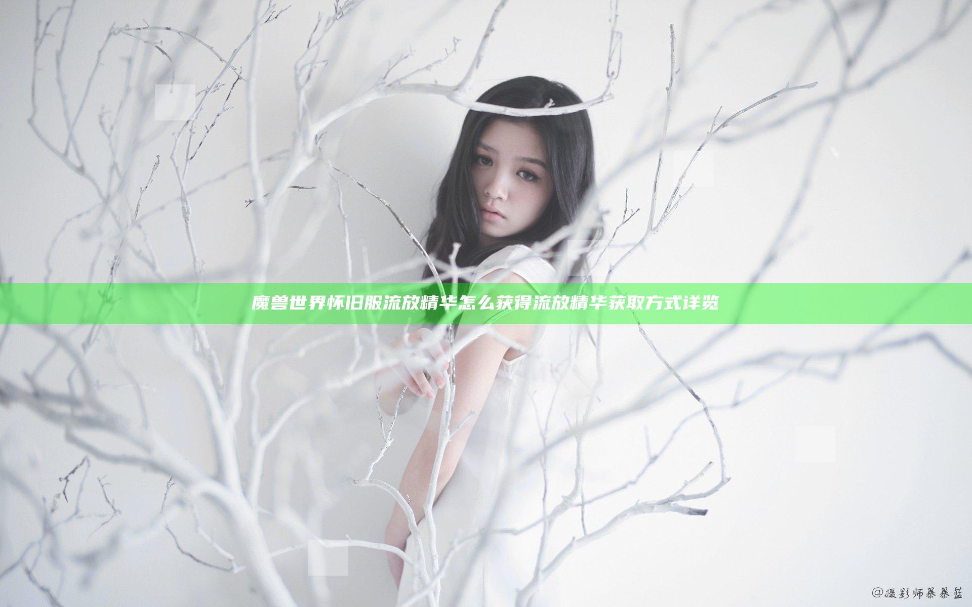 魔兽世界怀旧服流放精华怎么获得 流放精华获取方式详览